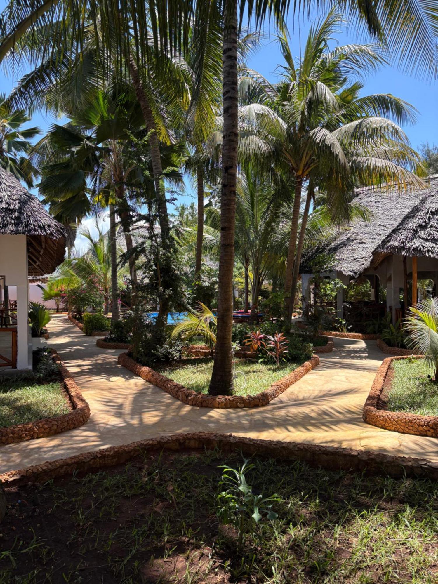 African Bungalows Nungwi Exteriér fotografie
